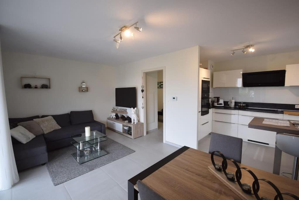 Appartement Selestat Sélestat Exterior foto